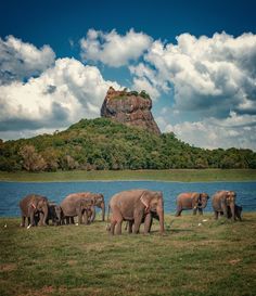 Enchanting Sri  Lanka